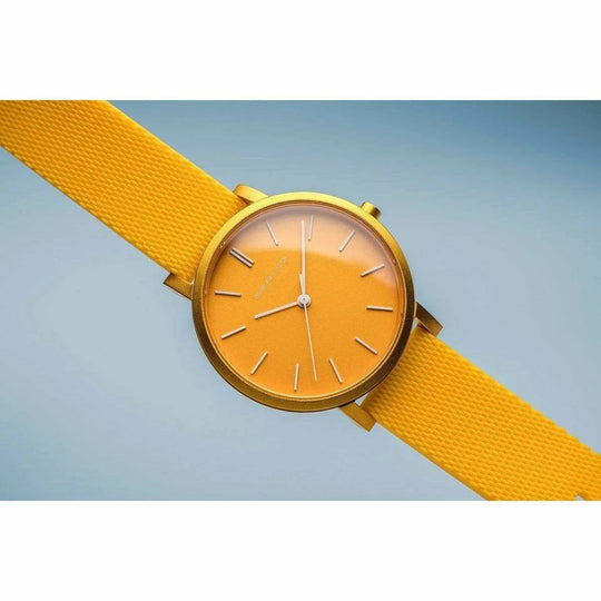 Bering dameshorloge 16934-699