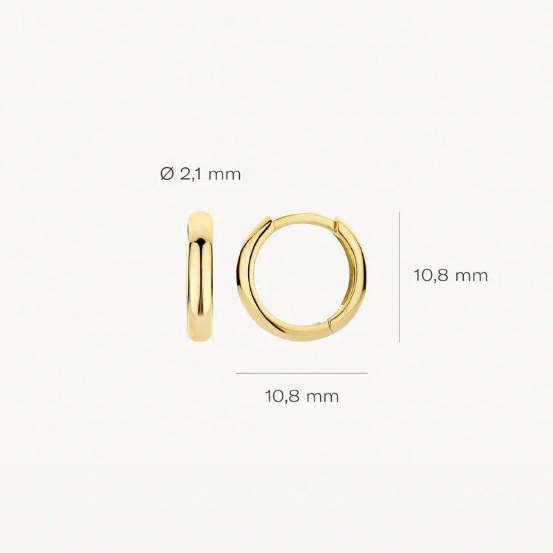 Blush oorringen 7267YGO - Oorsieraden