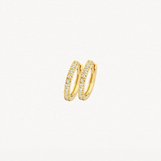 Blush oorringen 7307YZI