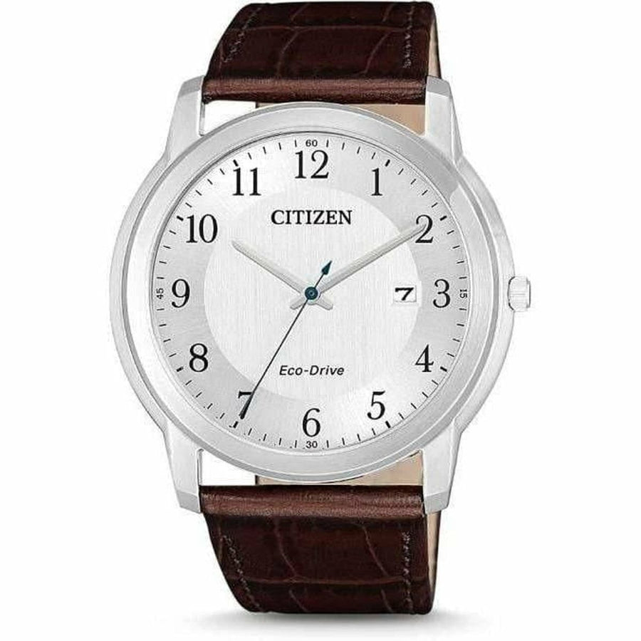 Citizen horloge AW1211-12A - Horloges