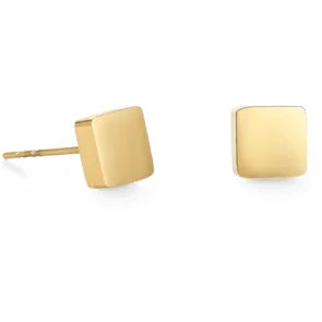 Coeur de Lion oorbellen 0400/21-1600