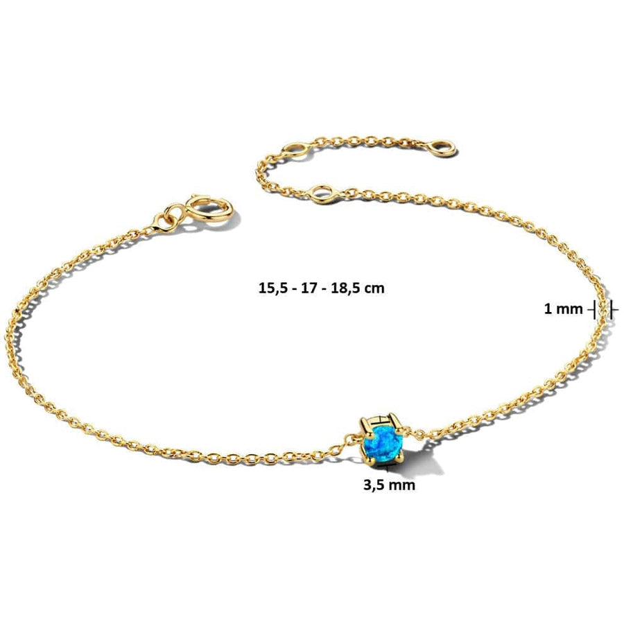 Gouden armband met geboortesteen December - Armbanden