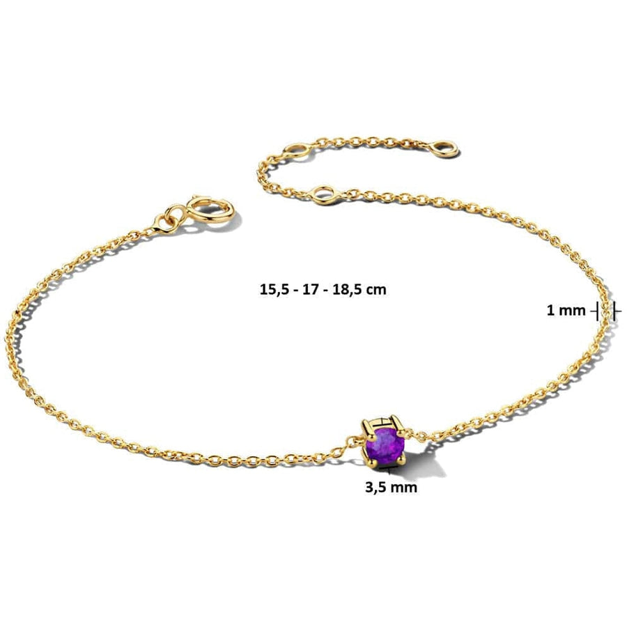 Gouden armband met geboortesteen Februari - Armbanden