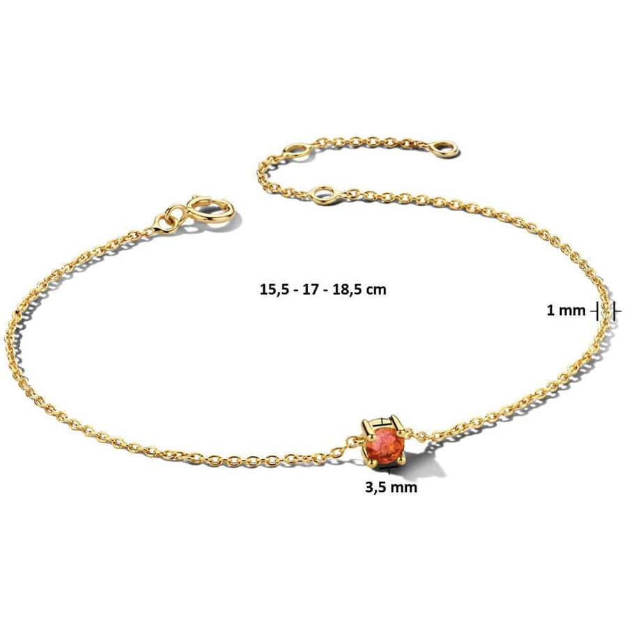 Gouden armband met geboortesteen Januari - Armbanden