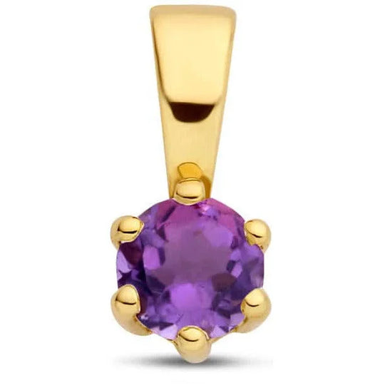 Gouden hanger met geboortesteen Februari