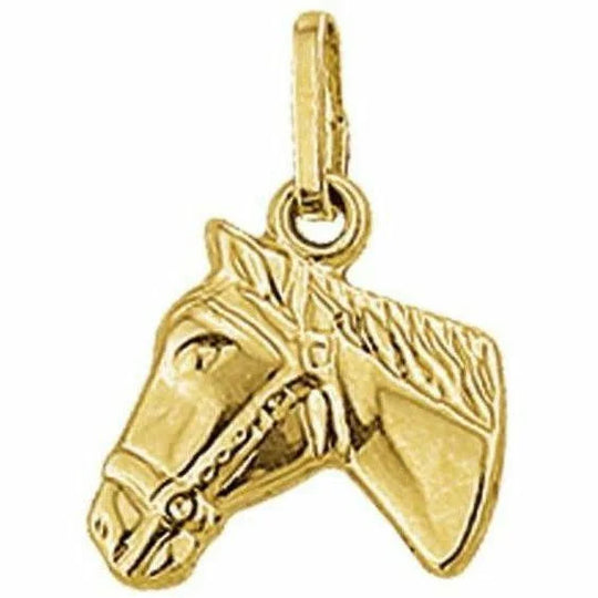 Gouden hanger paardenhoofd