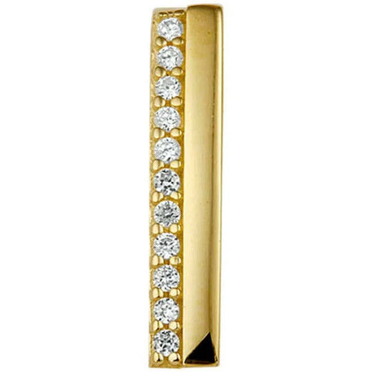 Gouden hanger zirkonia