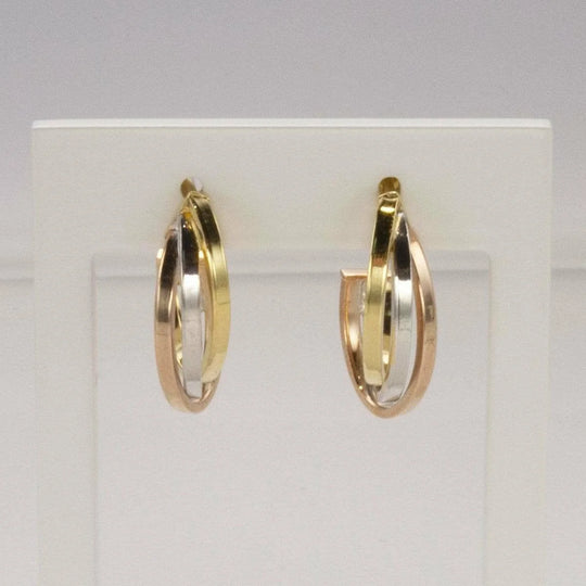 Gouden tricolor oorstekers OR706815