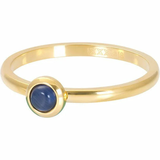 IXXXI Vulring R04102-001