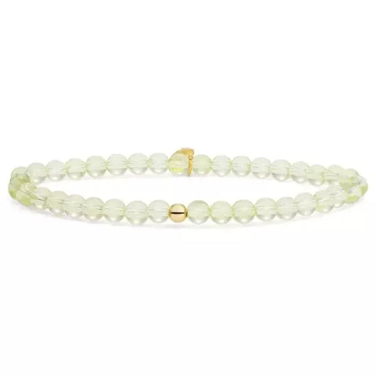 Sparkling Jewels armband SBG-GEM43-ADD-4MM