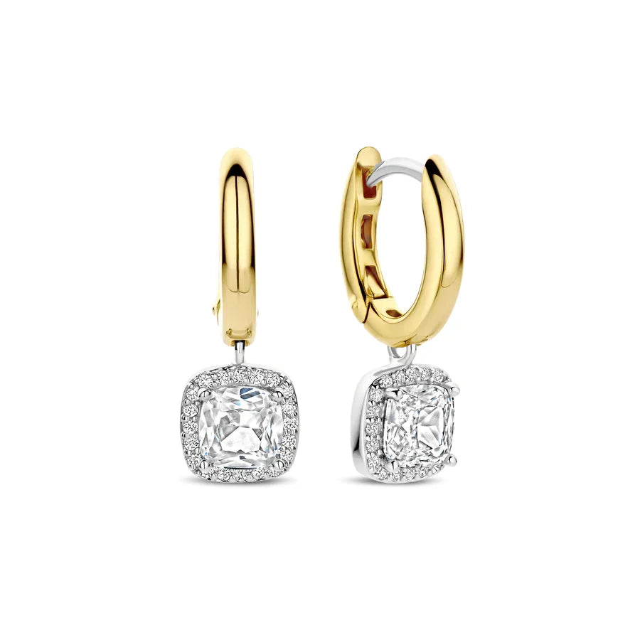 Zoom