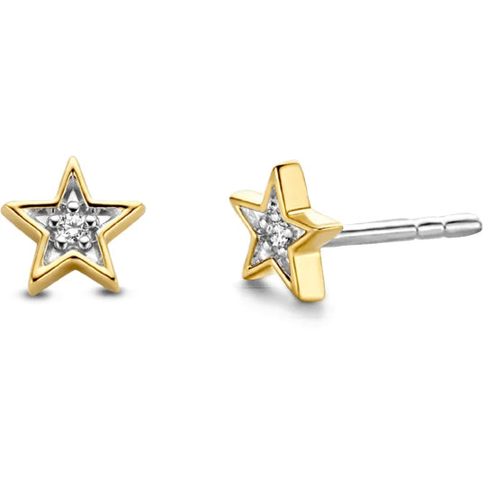 TiSento oorbellen 7863ZY