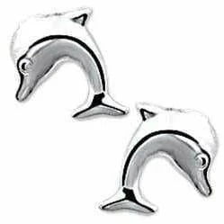 Zilveren oorknoppen dolfijn