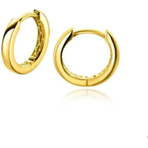 ZINZI oorringen ZGO321