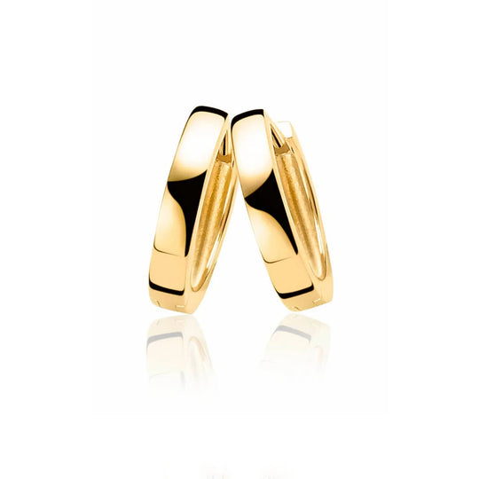 ZINZI Oorringen ZIO186G