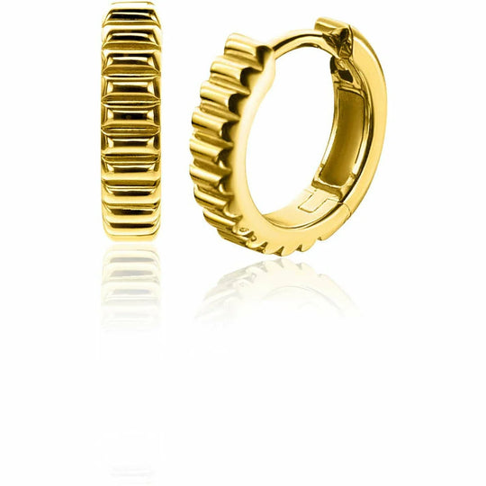 ZINZI oorringen ZIO2245